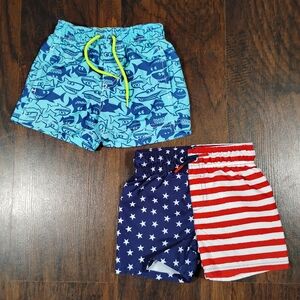 Carter's Cat & Jack Infant Baby Boy’s Size 12 Mos. Swim Shorts Trunks Shark Flag